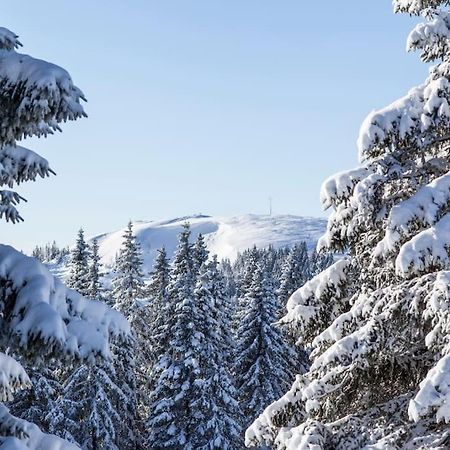 Waldtwin 2 Titisee Εξωτερικό φωτογραφία