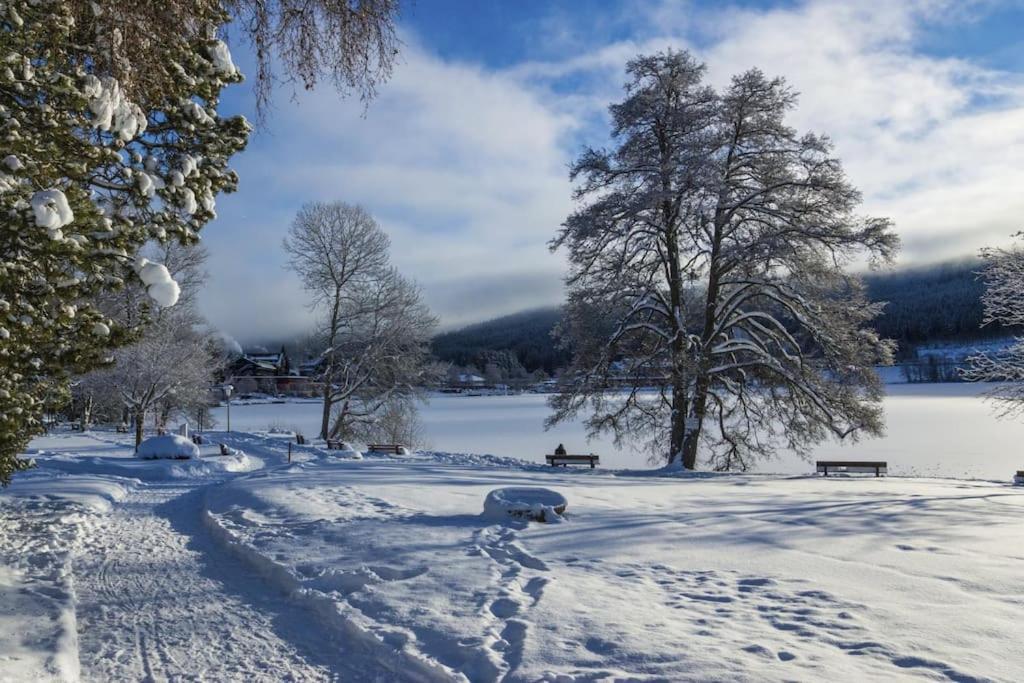 Waldtwin 2 Titisee Εξωτερικό φωτογραφία