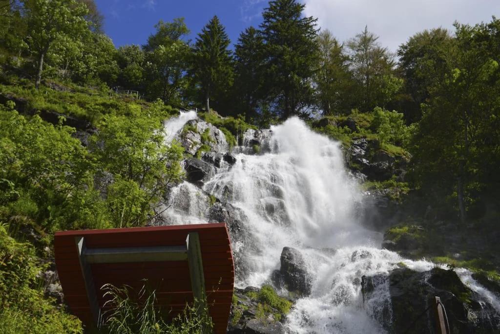 Waldtwin 2 Titisee Εξωτερικό φωτογραφία