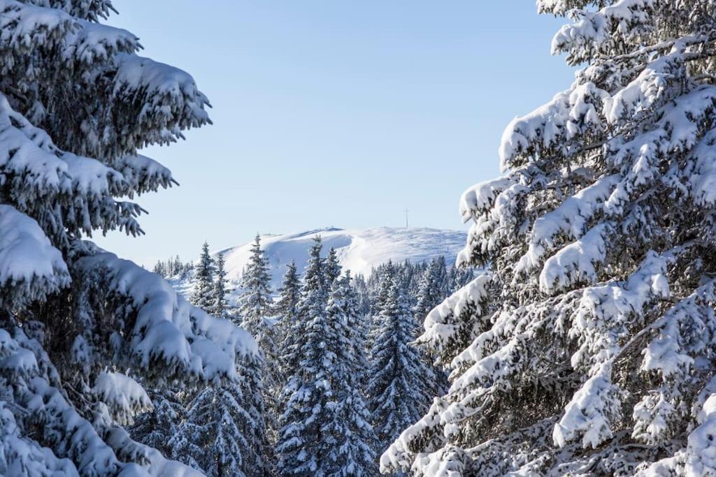 Waldtwin 2 Titisee Εξωτερικό φωτογραφία