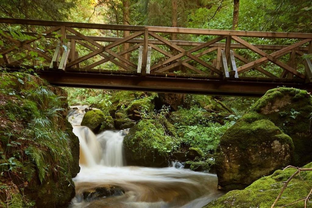 Waldtwin 2 Titisee Εξωτερικό φωτογραφία