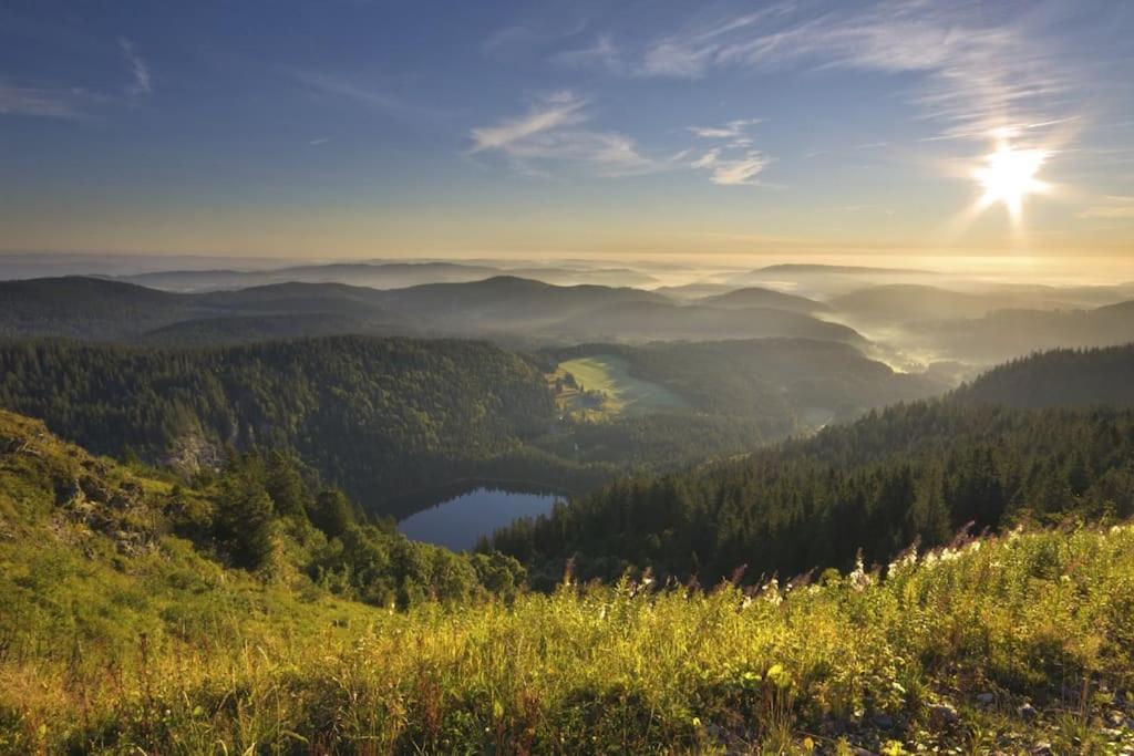 Waldtwin 2 Titisee Εξωτερικό φωτογραφία