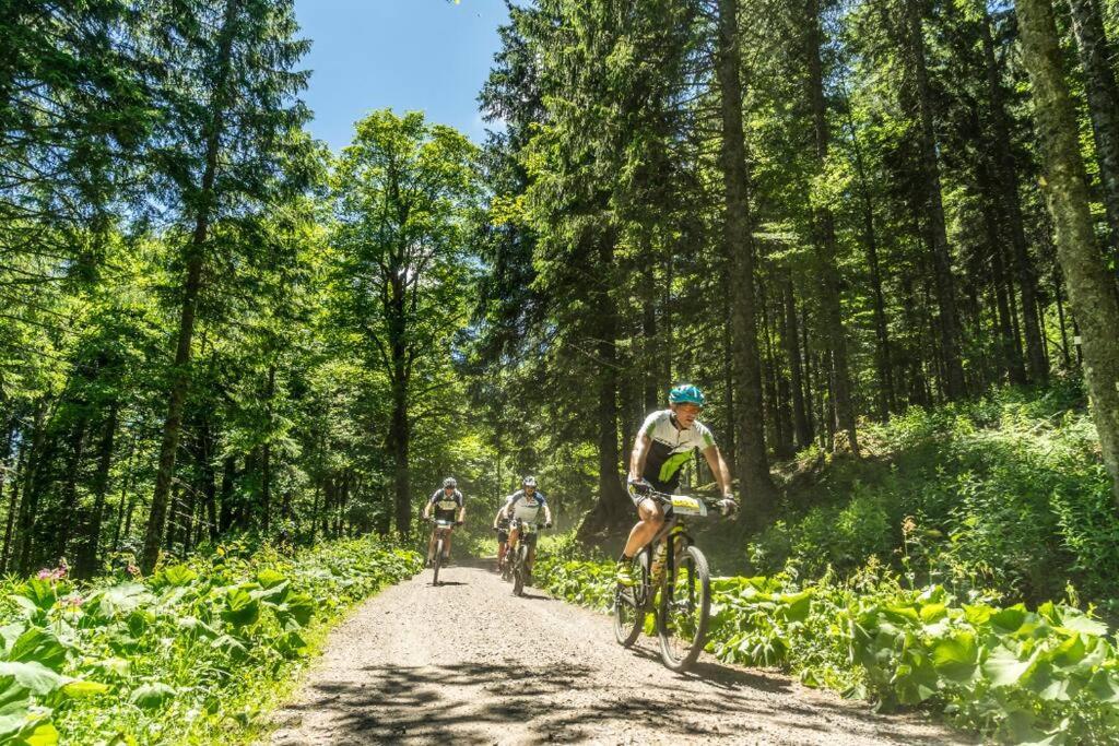 Waldtwin 2 Titisee Εξωτερικό φωτογραφία